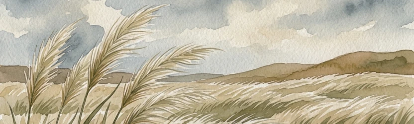 Шёпот алтайского ковыля