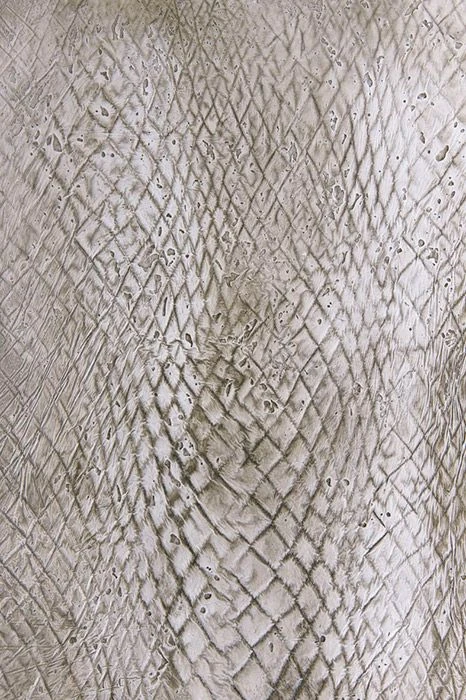 Декоративное покрытие PARADE. Эффект "Кожа змеи"